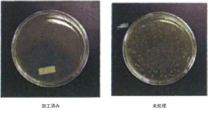 フィトケミカル加工済み・未処理の比較